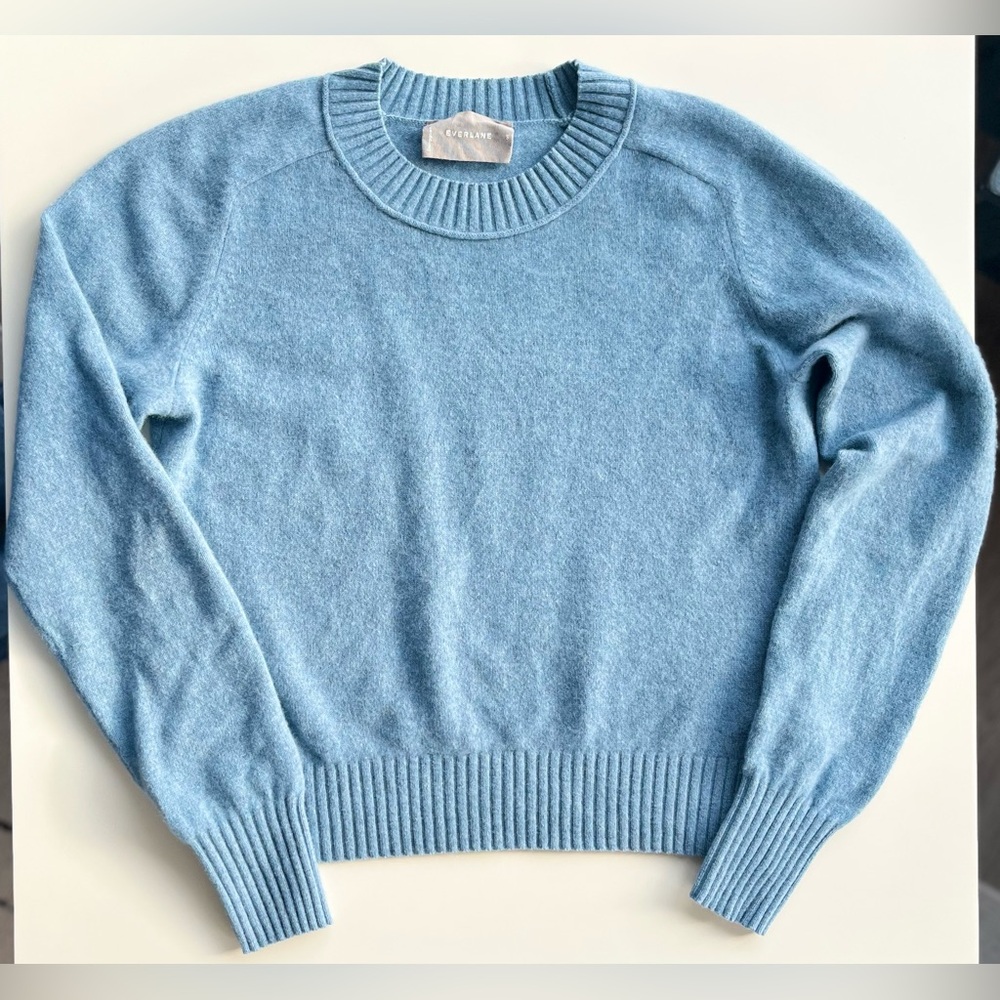 Everlane Blue Crew Neck Sweater